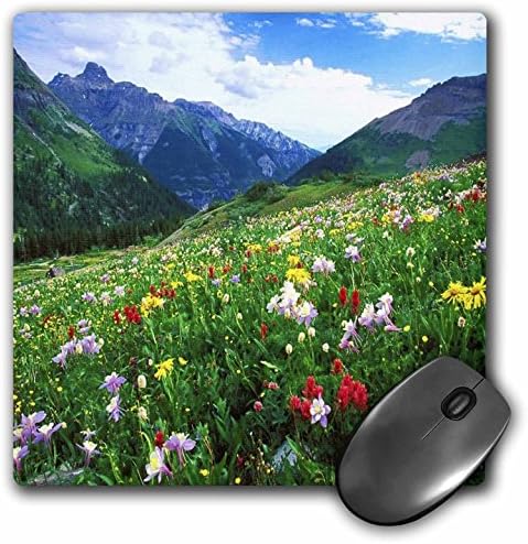 3Drose LLC 8 x 8 x 0,25 inča miša, Colorado Wildflower i planine