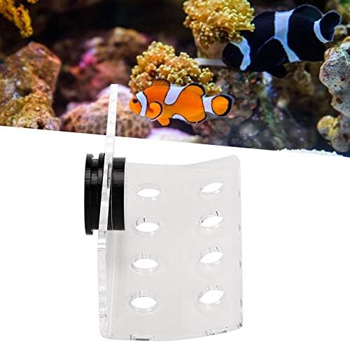 Držači nosača držača držača za akvarij za morske koralje okvir gumba za akvarij za ribe ojačani držač za usisne čaše za akvarijske