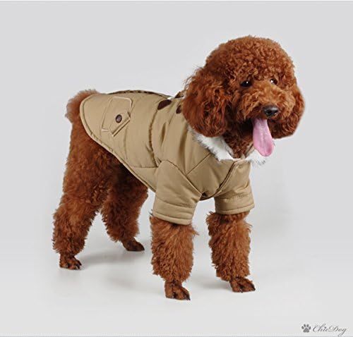Lxlp pas Doggie Down Jackie Hoodie kaputa Stilska kućna mačka odjeća Topla odjeća za male pse zima