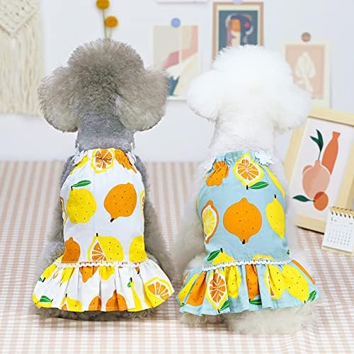 Honprad mala pseća košulja djevojčica set haljine za kućne ljubimce proljetne i ljetne koteje proljetne i ljetne slatke zalihe