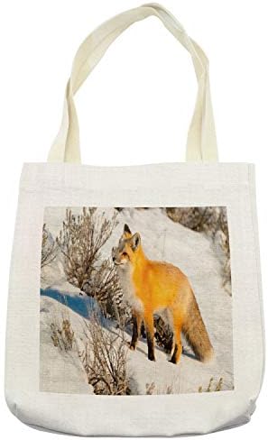 Ambsonne lisica torba, crvena lisica u prirodi snježna planina hladna zimska krajolika divljina slika mesoždera, platna lanena